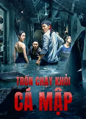 Trốn chạy khỏi cá mập